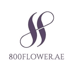 فلوير 800